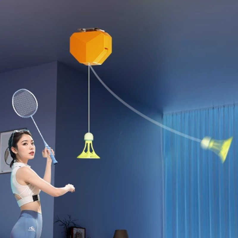 Dispositivo di Allenamento per - Sports Equipment Badminton recensione e prezzo