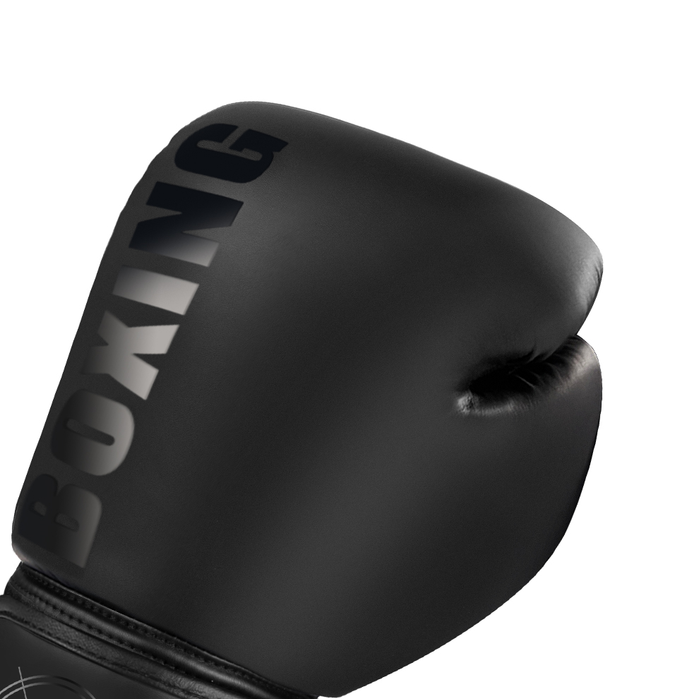 Guantoni da Boxe Professionali - Sports Equipment Deodorizer recensione e prezzo