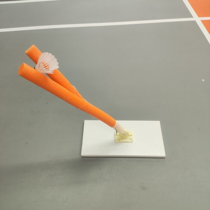 Dispositivo di Allenamento per - Sports Equipment Badminton recensione e prezzo