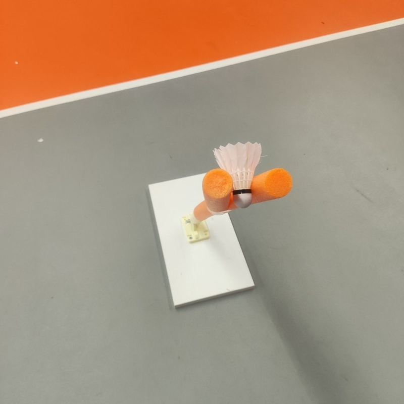 Dispositivo di Allenamento per - Sports Equipment Badminton recensione e prezzo