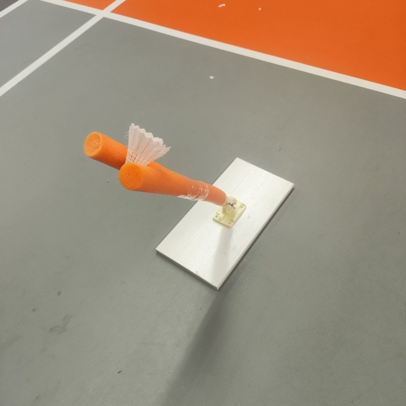 Dispositivo di Allenamento per - Sports Equipment Badminton recensione e prezzo
